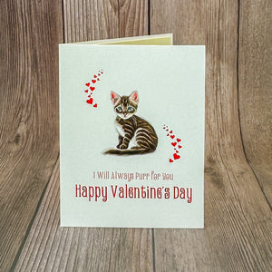 I'll Always Purr for You Card